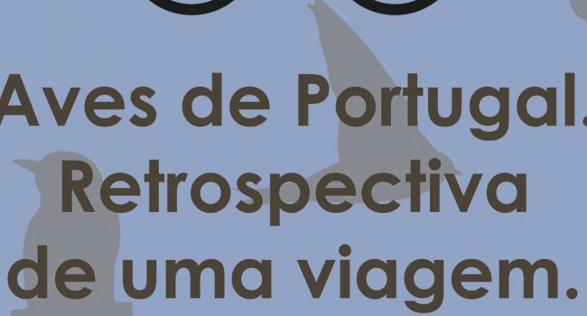 "Aves de Portugal - Retrospetiva de uma viagem"