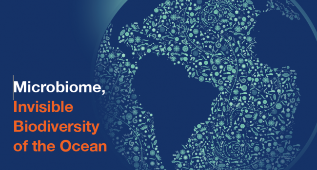 Microbioma, A Biodiversidade Invisvel do Oceano
